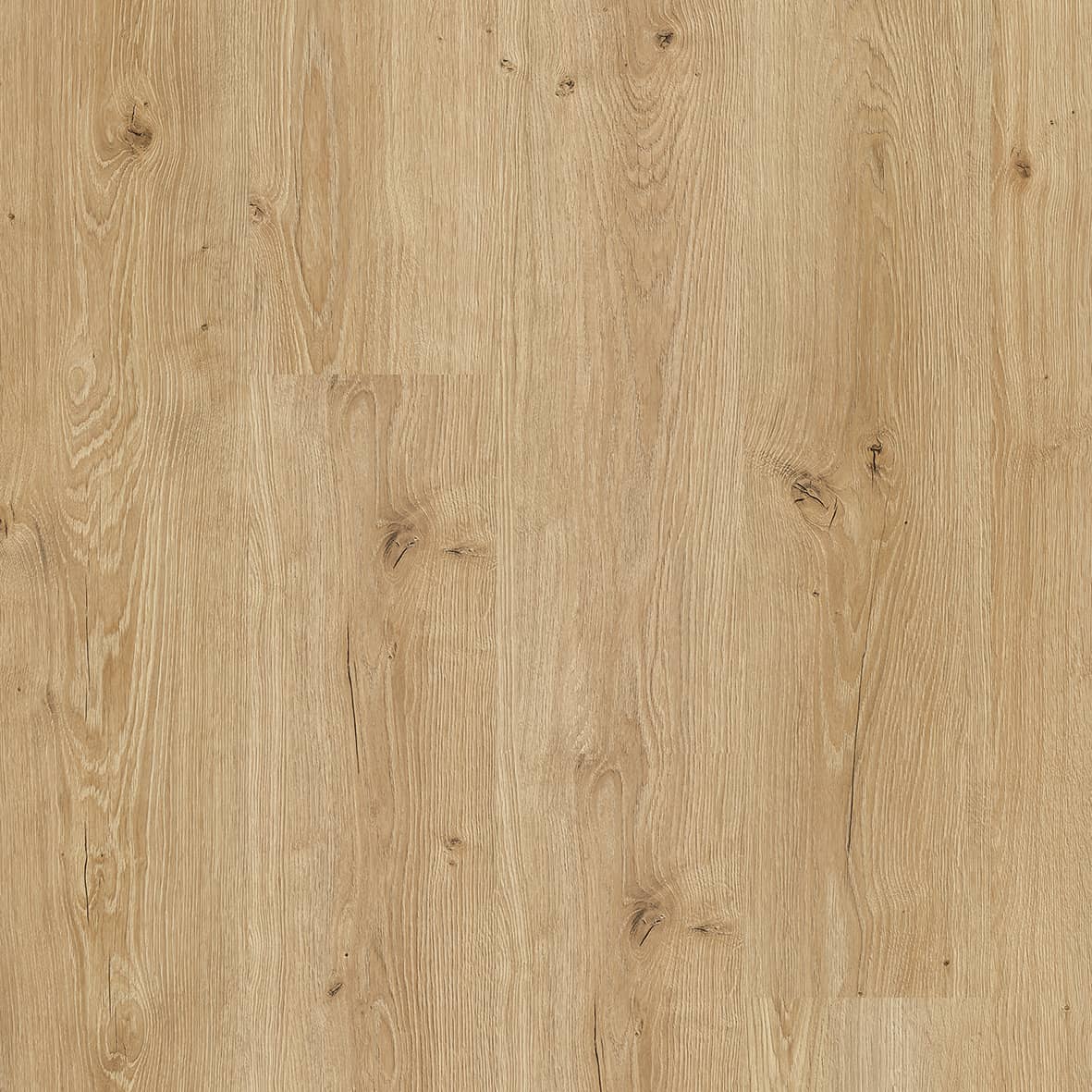 Panele Podłogowe FAUS - ECO - Alboran Oak AC5 8mm