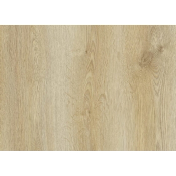 Panele podłogowe AGT Natura Line - PRK 501 Trend Oak - AC6 8mm