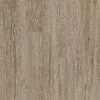 Panele podłogowe FAUS - TEMPO - Taupe Oak - AC5 8mm